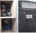 Podés adoparlos: rescatan a cachorros que estaban en grave situación dentro de una fábrica en Fernando de la Mora
